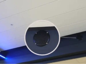 Audio System